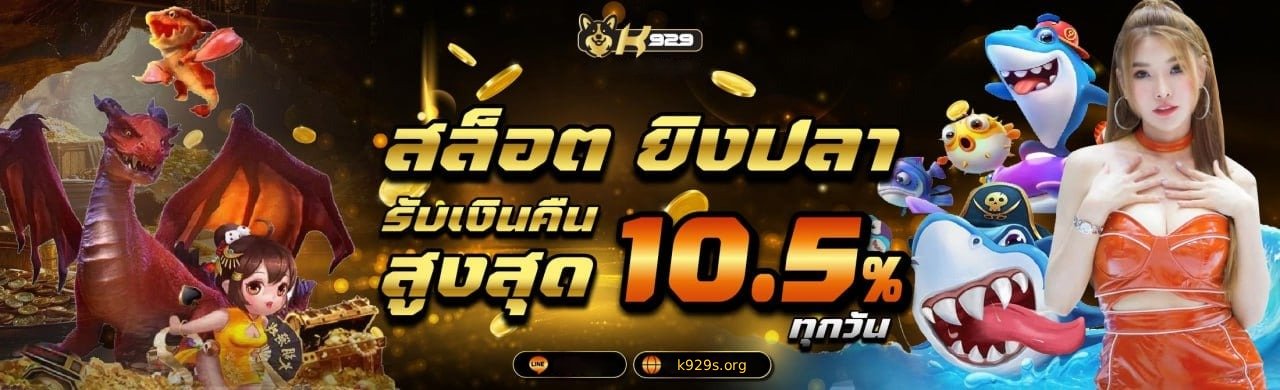 k929 (3)